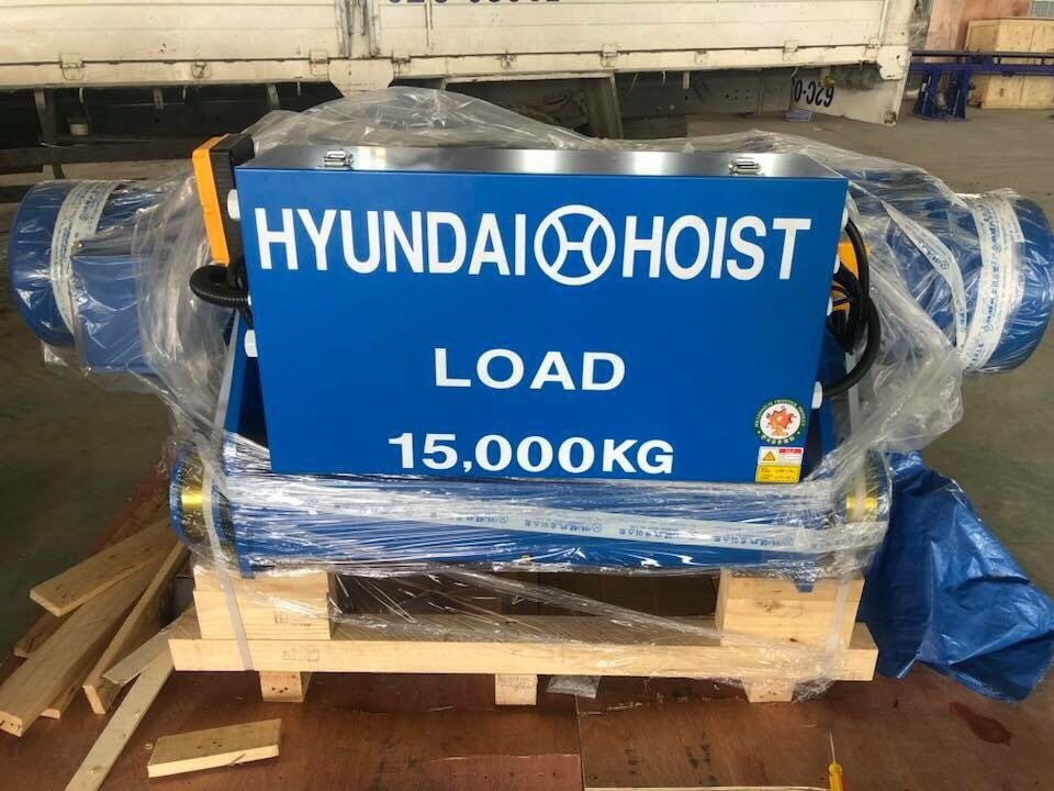 kham pha nhung chung loai cua palang hyundai pho bien hien nay