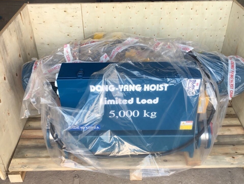 Palang cáp điện Dongyang 5 tấn dầm đôi