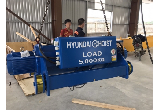 Palang cáp điện Hyundai 5 tấn